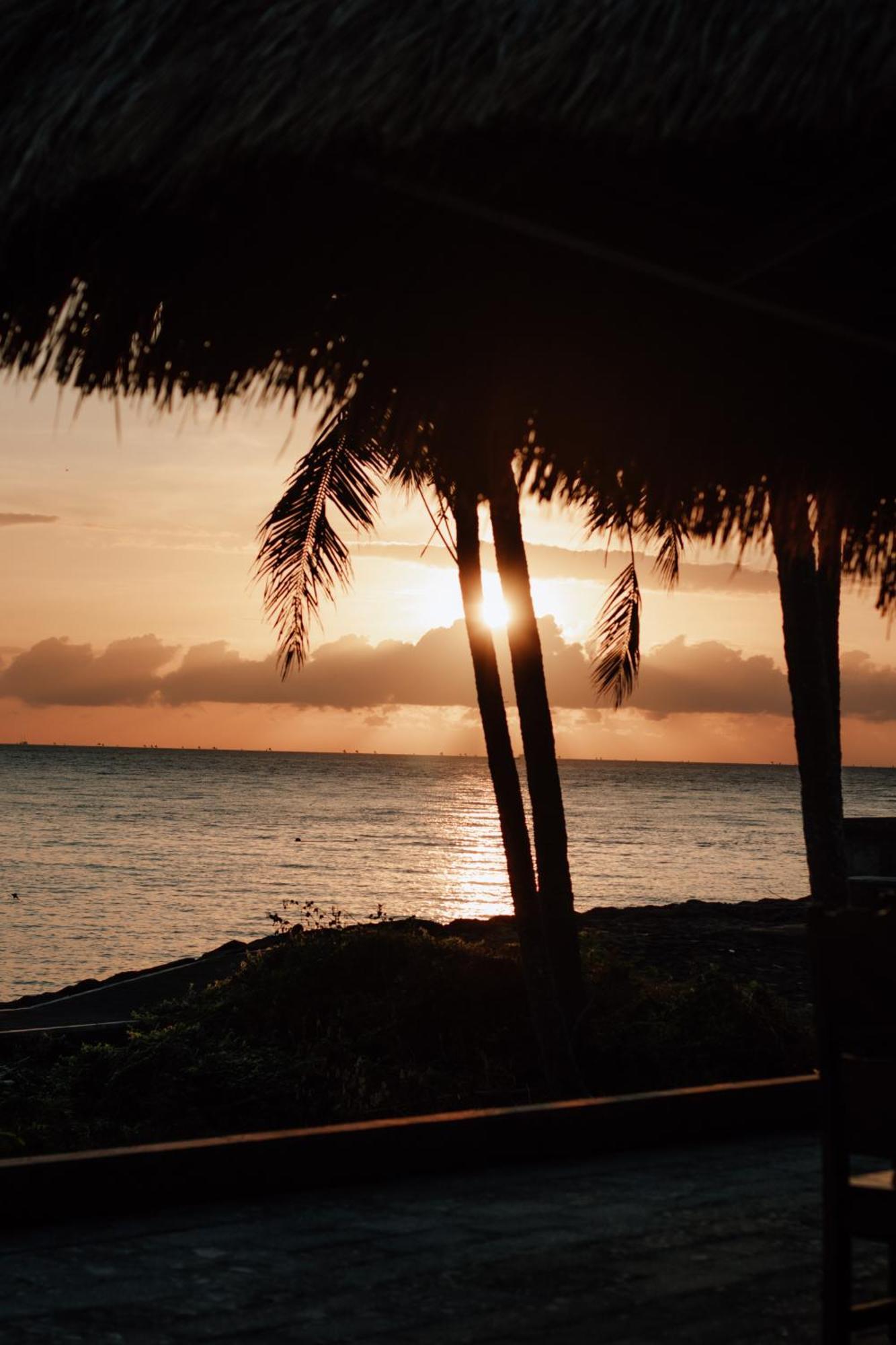 Pebble & Fins Bali Dive Resort 图兰奔 外观 照片